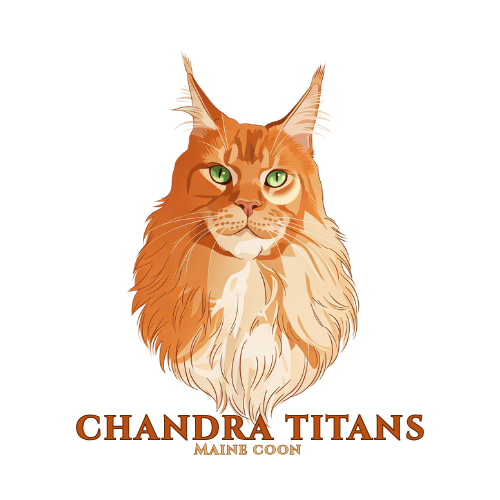 Logo Chandra Titans
